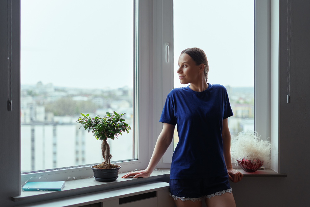 Detroit Vinyl Windows